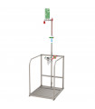 Unheated safety shower with stainless steel open bowl eye wash within a protective single frame
