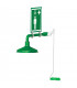 Ring main mounted laboratory safety shower