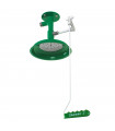 Ceiling mounted laboratory safety shower