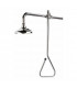 Lifesaver® Emergency Shower